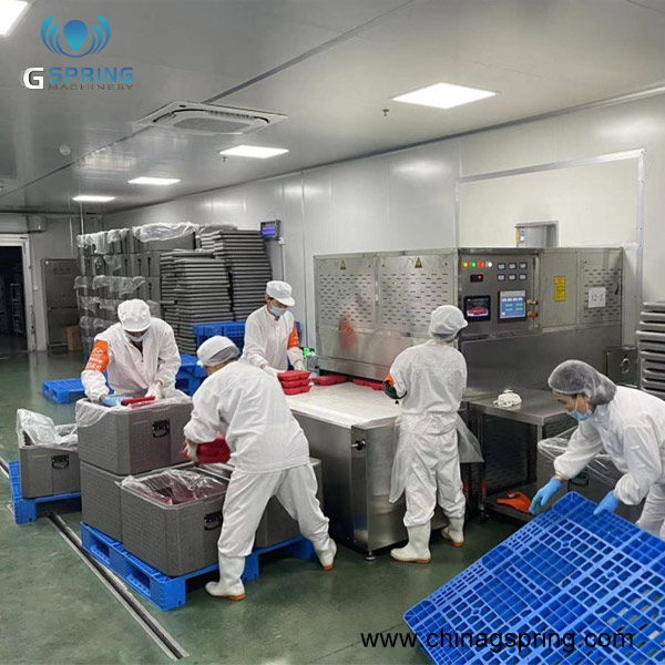 Самая популярная промышленная линия микроволновой сушки для пищевых производств — установка непрерывной микроволновой сушки
